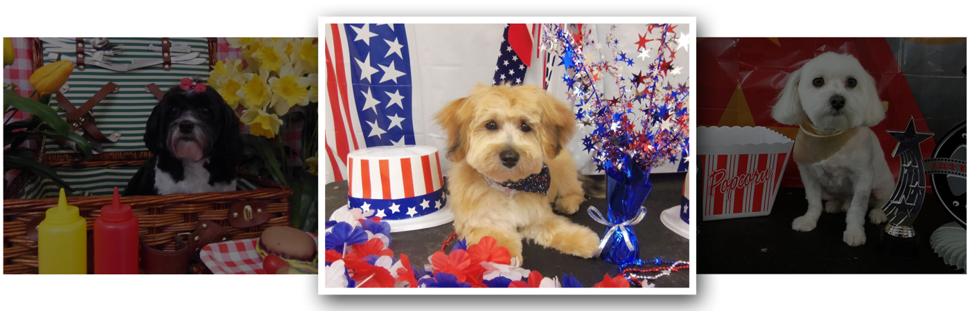Pup a shop razzi pet salon